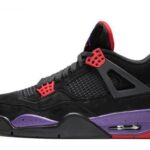 Jordan 4 Retro NRG “Raptors”